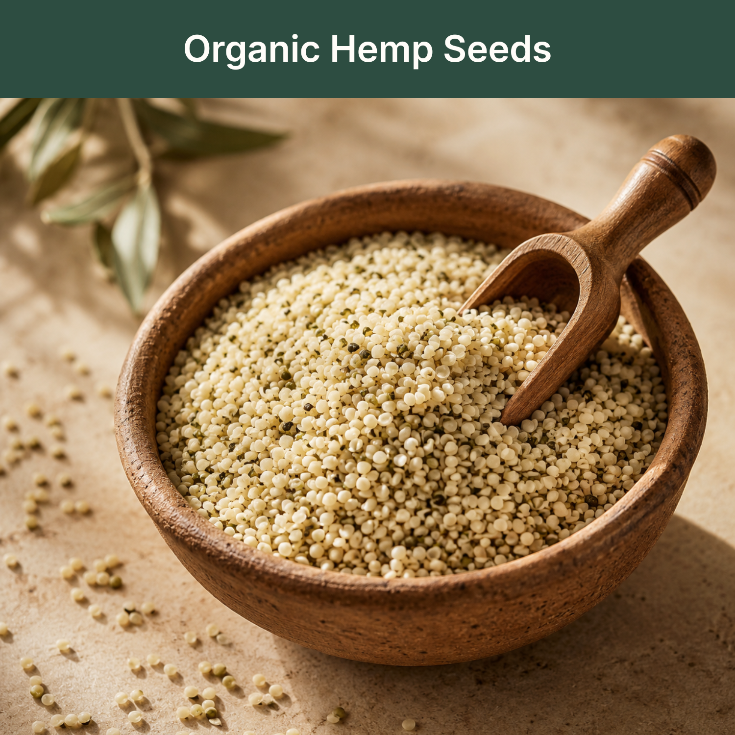 Organic Hemp Seeds