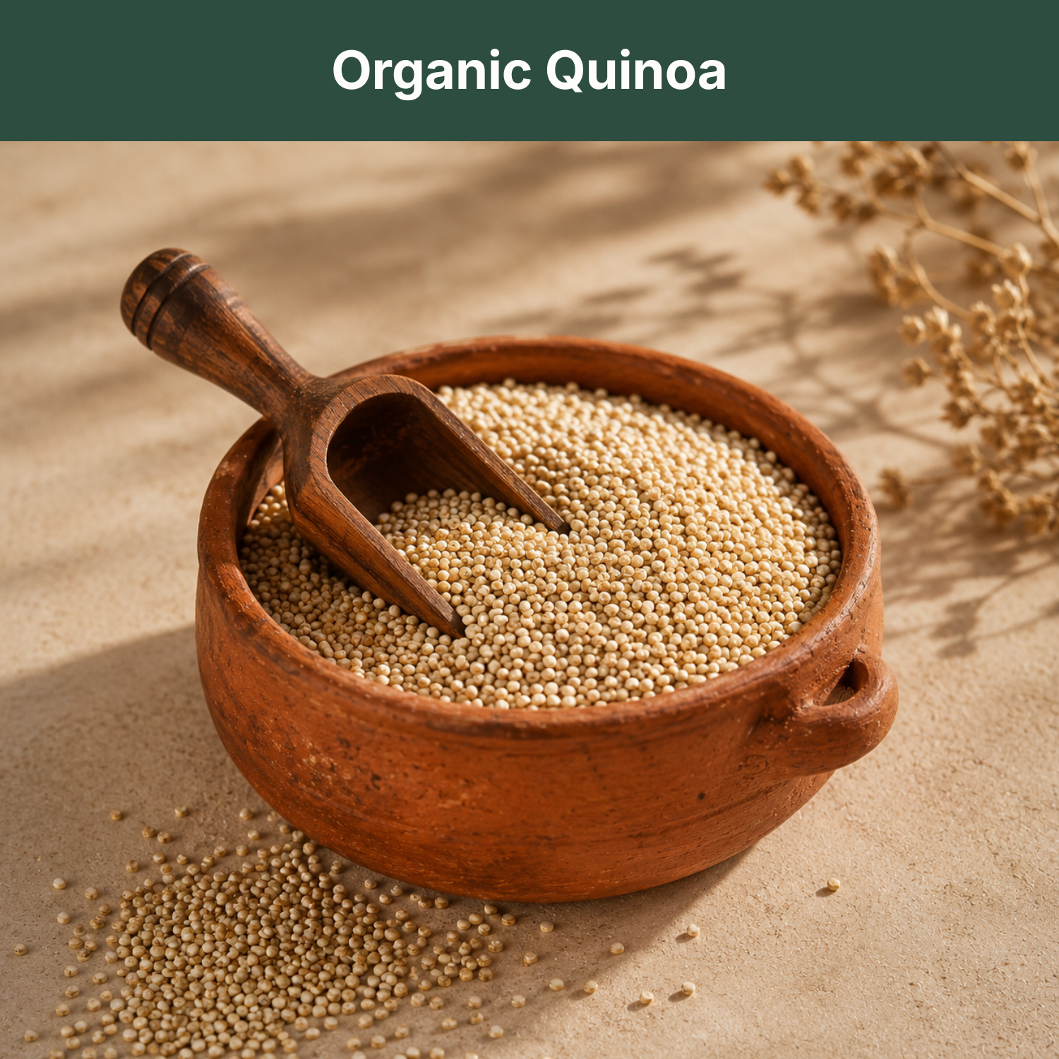 Organic Quinoa
